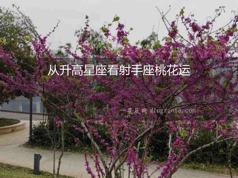 從升高星座看射手座桃花運(yùn)