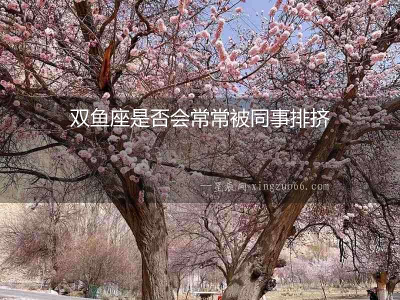 雙魚(yú)座是否會(huì)常常被同事排擠