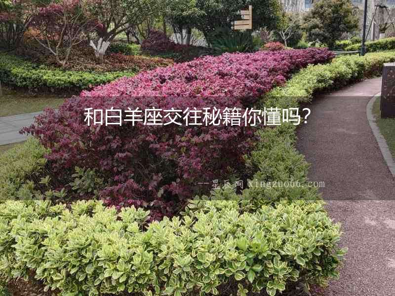 和白羊座交往秘籍你懂嗎？