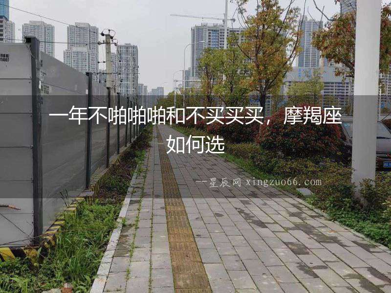 一年不啪啪啪和不買買買，摩羯座如何選