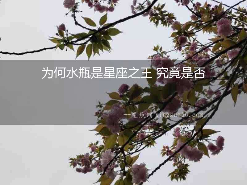 為何水瓶是星座之王 究竟是否