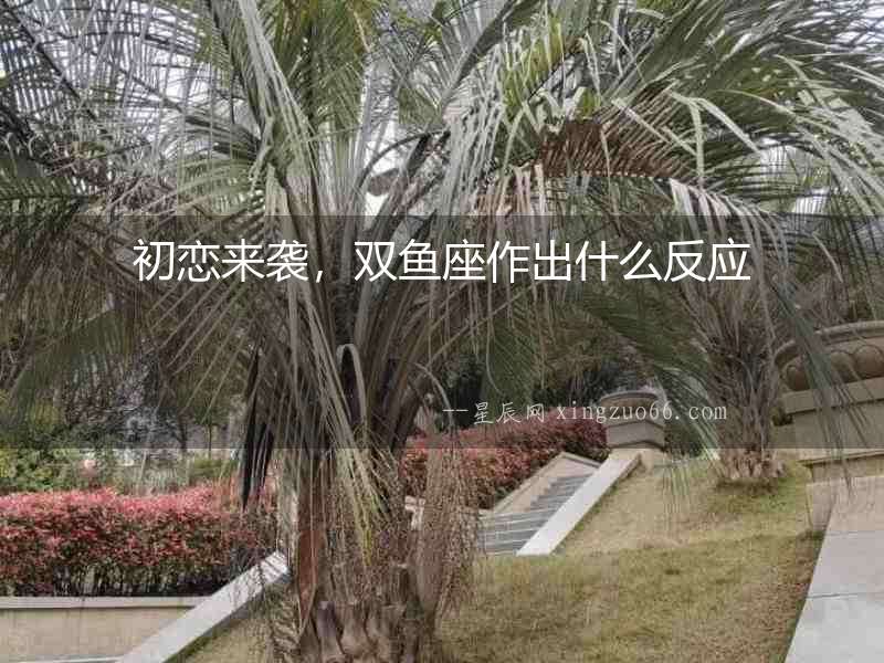 初戀來襲，雙魚座作出什么反應