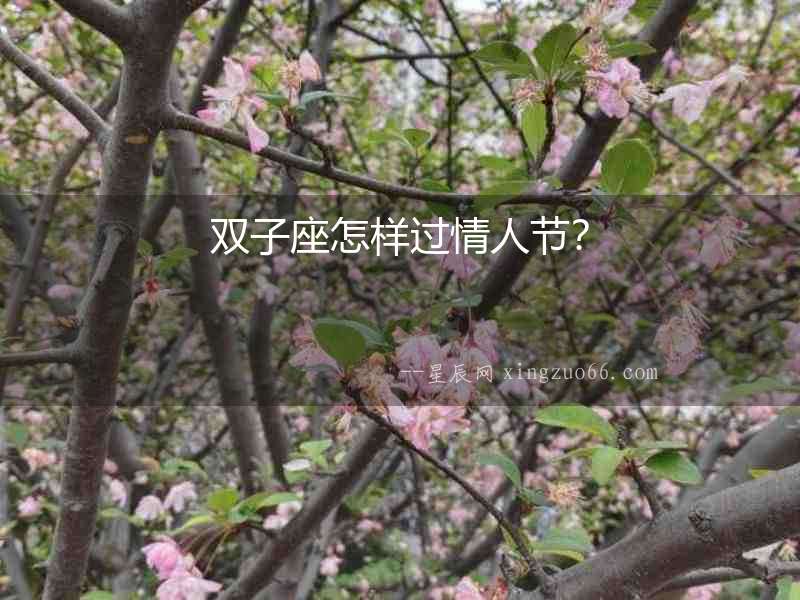 雙子座怎樣過情人節？