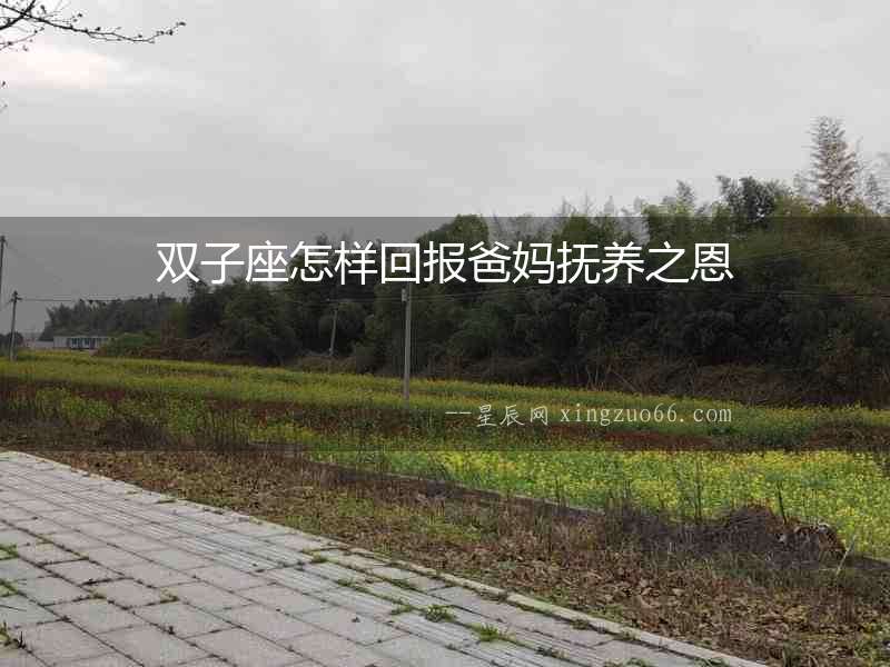 雙子座怎樣回報(bào)爸媽撫養(yǎng)之恩