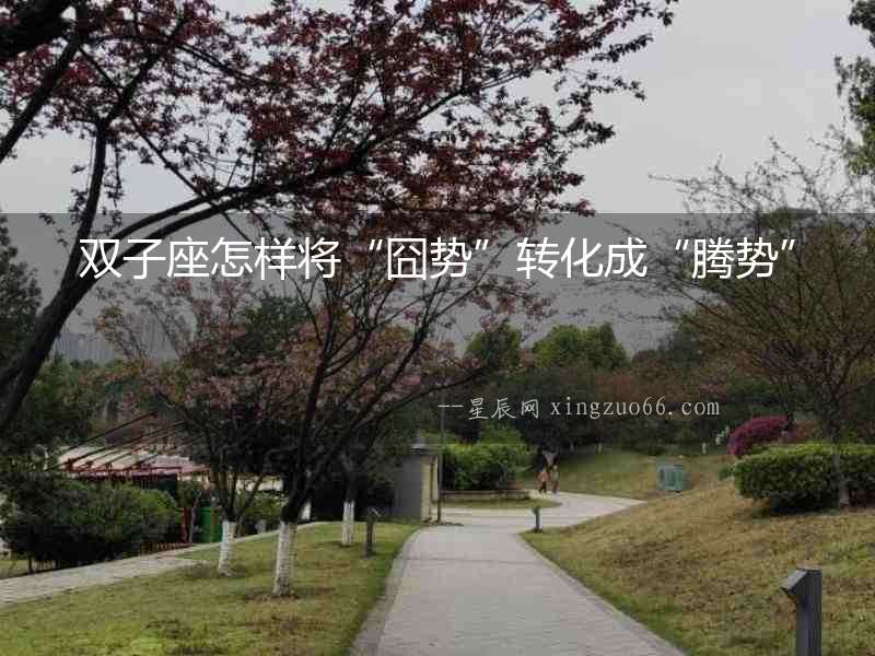 雙子座怎樣將“囧勢”轉(zhuǎn)化成“騰勢”