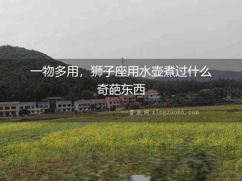 一物多用，獅子座用水壺煮過什么奇葩東西