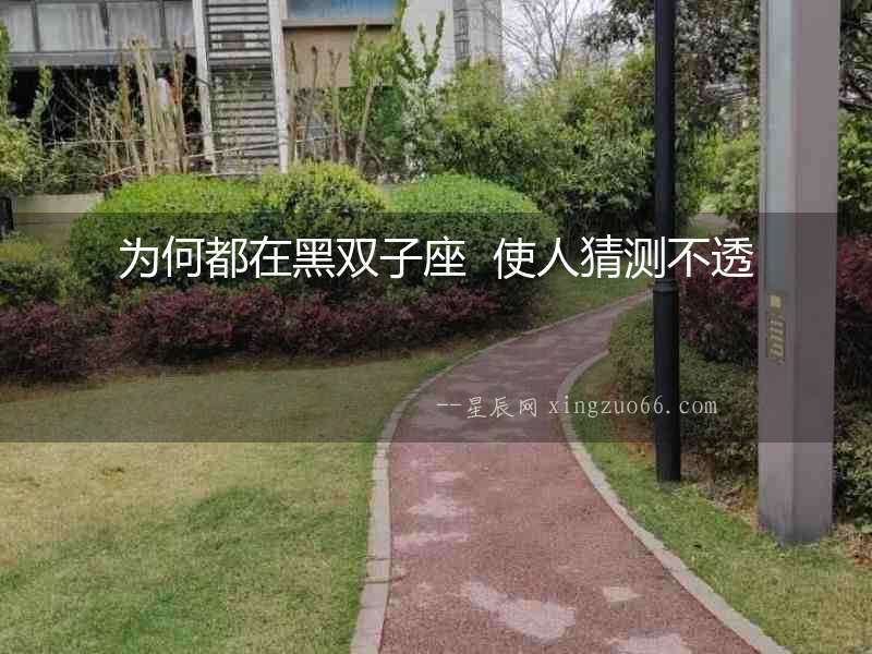 為何都在黑雙子座  使人猜測(cè)不透