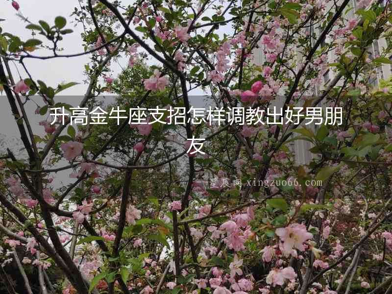 升高金牛座支招怎樣調教出好男朋友