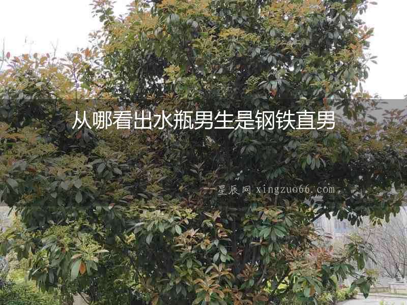從哪看出水瓶男生是鋼鐵直男