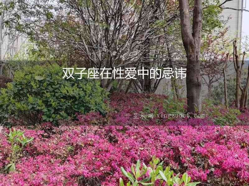 雙子座在性愛(ài)中的忌諱