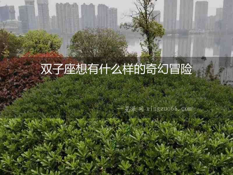 雙子座想有什么樣的奇幻冒險(xiǎn)