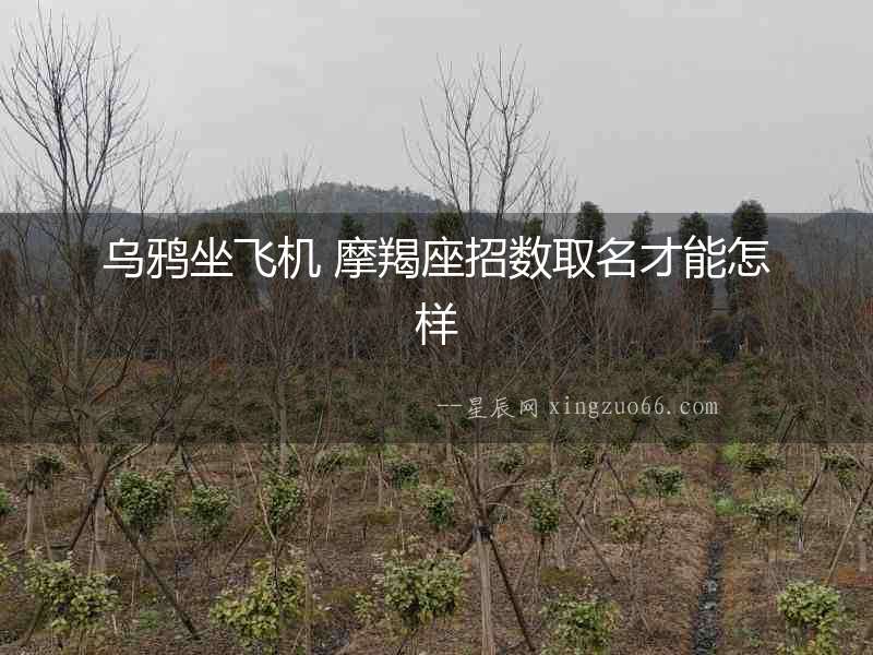 烏鴉坐飛機 摩羯座招數取名才能怎樣