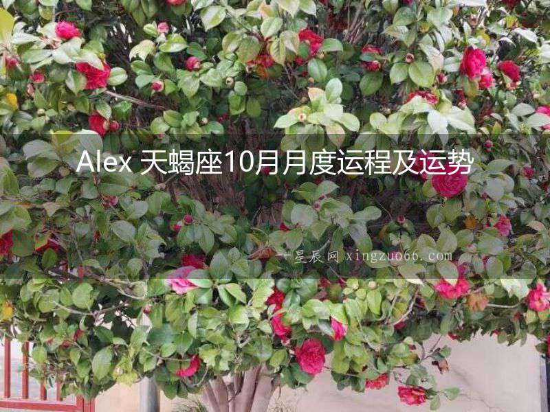 Alex 天蝎座10月月度運(yùn)程及運(yùn)勢(shì)