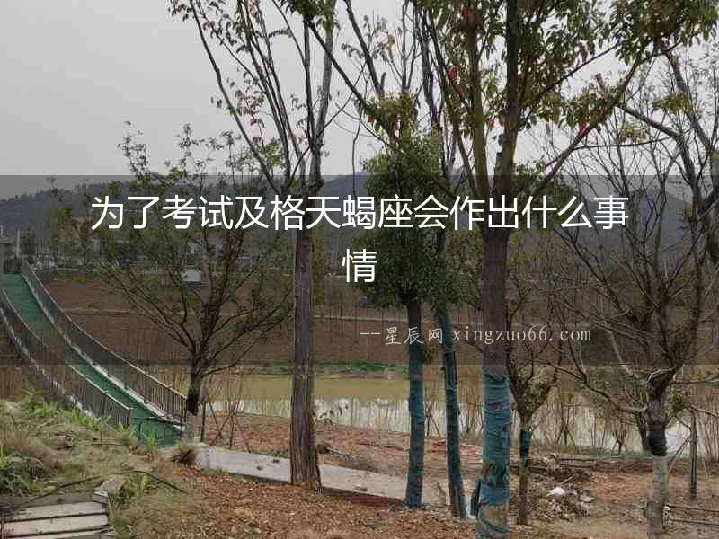 為了考試及格天蝎座會(huì)作出什么事情
