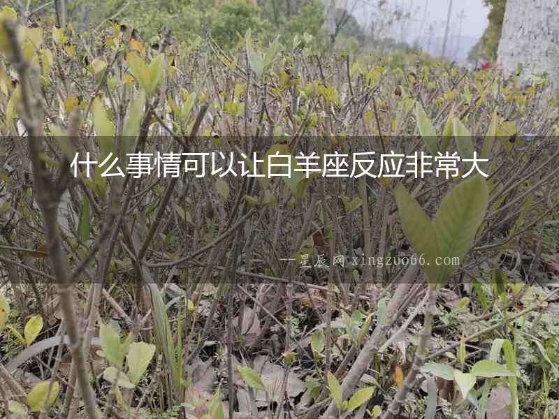 什么事情可以讓白羊座反應非常大