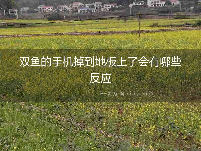 雙魚的手機(jī)掉到地板上了會有哪些反應(yīng)