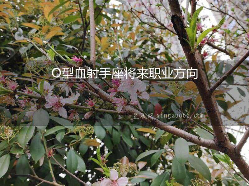 O型血射手座將來(lái)職業(yè)方向