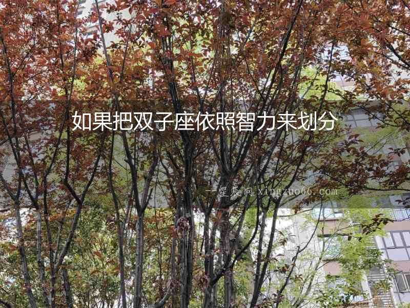 如果把雙子座依照智力來劃分