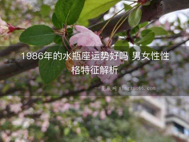 1986年的水瓶座運(yùn)勢好嗎 男女性性格特征解析