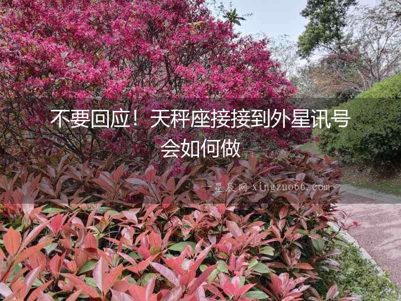 不要回應(yīng)！天秤座接接到外星訊號會如何做