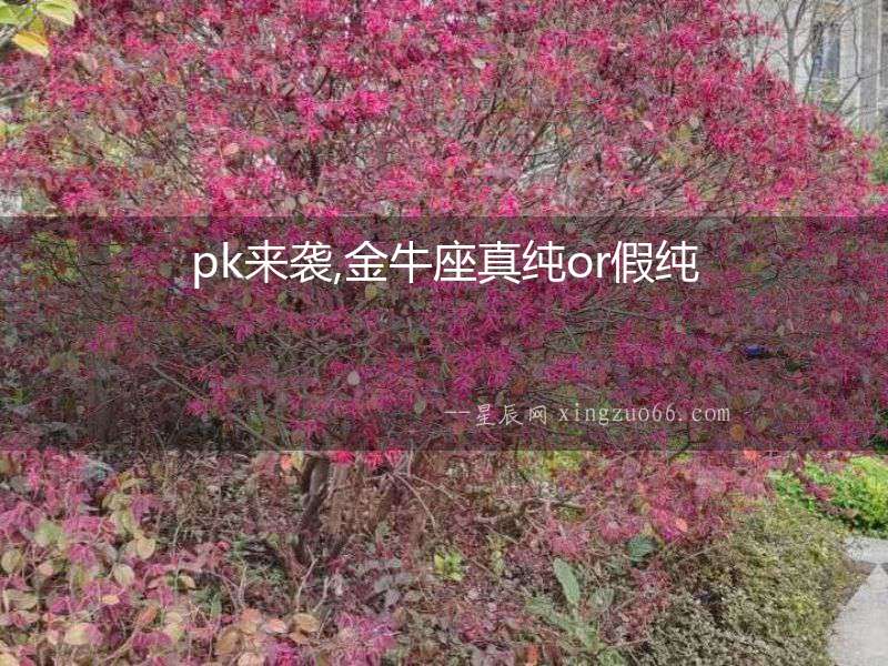 pk來襲,金牛座真純or假純