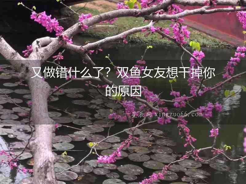 又做錯(cuò)什么了？雙魚女友想干掉你的原因
