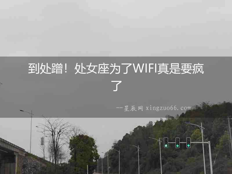 到處蹭！處女座為了WIFI真是要瘋了