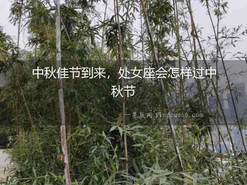 中秋佳節(jié)到來，處女座會怎樣過中秋節(jié)