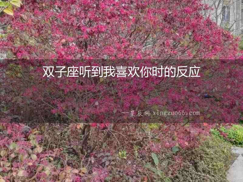 雙子座聽到我喜歡你時(shí)的反應(yīng)