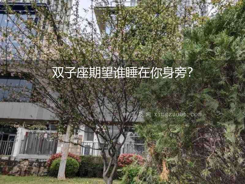 雙子座期望誰睡在你身旁？