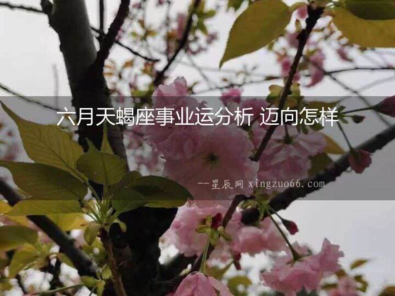 六月天蝎座事業(yè)運分析 邁向怎樣