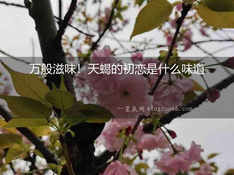 萬(wàn)般滋味！天蝎的初戀是什么味道