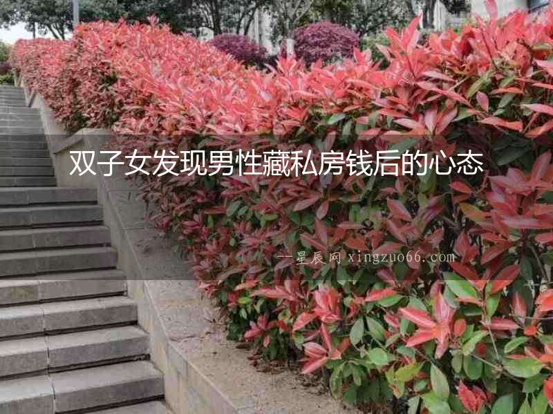 雙子女發現男性藏私房錢后的心態