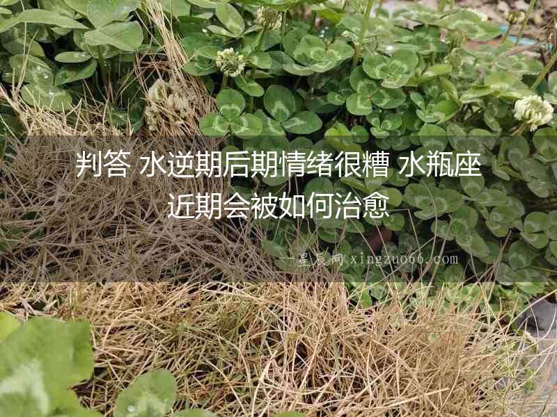 判答 水逆期后期情緒很糟 水瓶座近期會(huì)被如何治愈