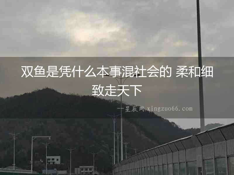 雙魚是憑什么本事混社會的 柔和細致走天下
