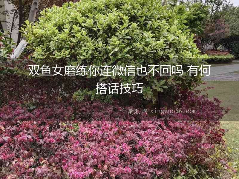 雙魚女磨練你連微信也不回嗎 有何搭話技巧