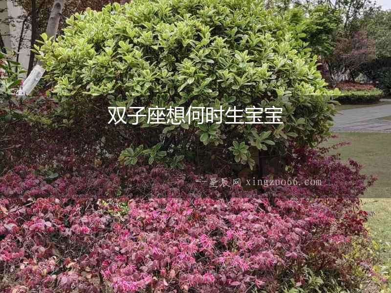 雙子座想何時(shí)生寶寶