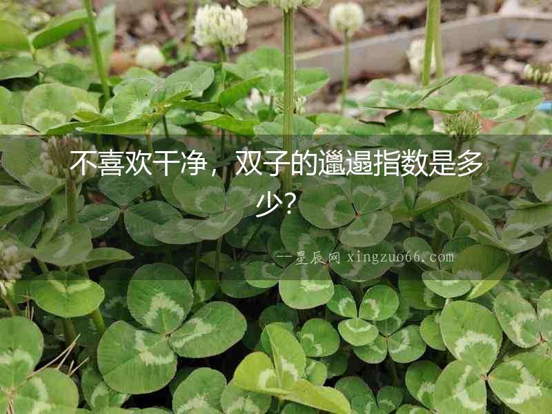 不喜歡干凈，雙子的邋遢指數是多少？