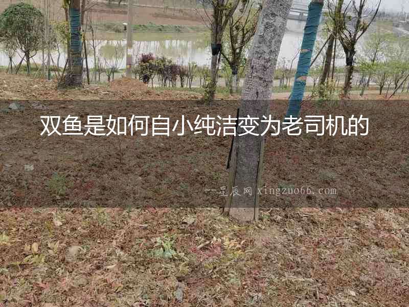 雙魚是如何自小純潔變?yōu)槔纤緳C(jī)的