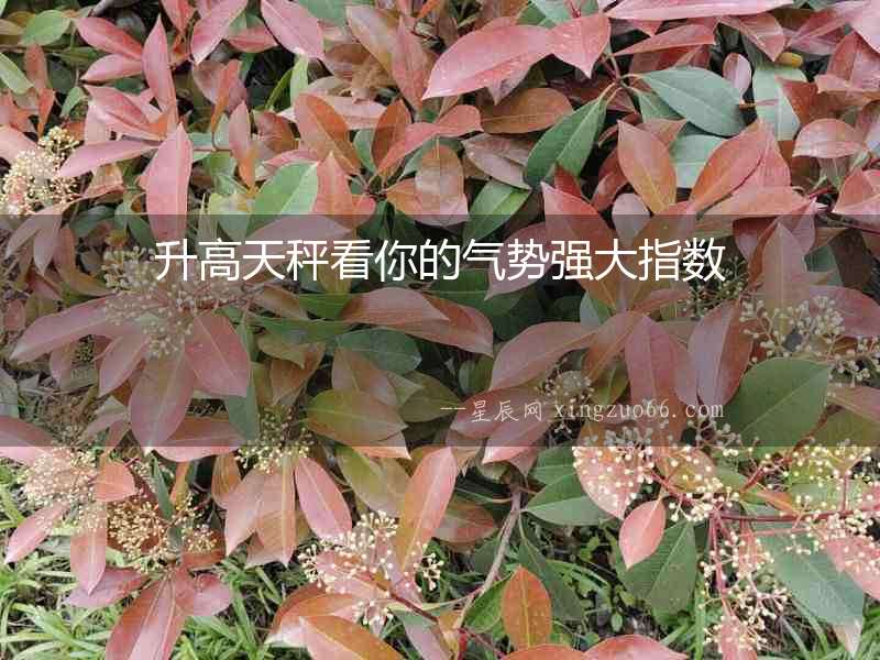 升高天秤看你的氣勢強大指數