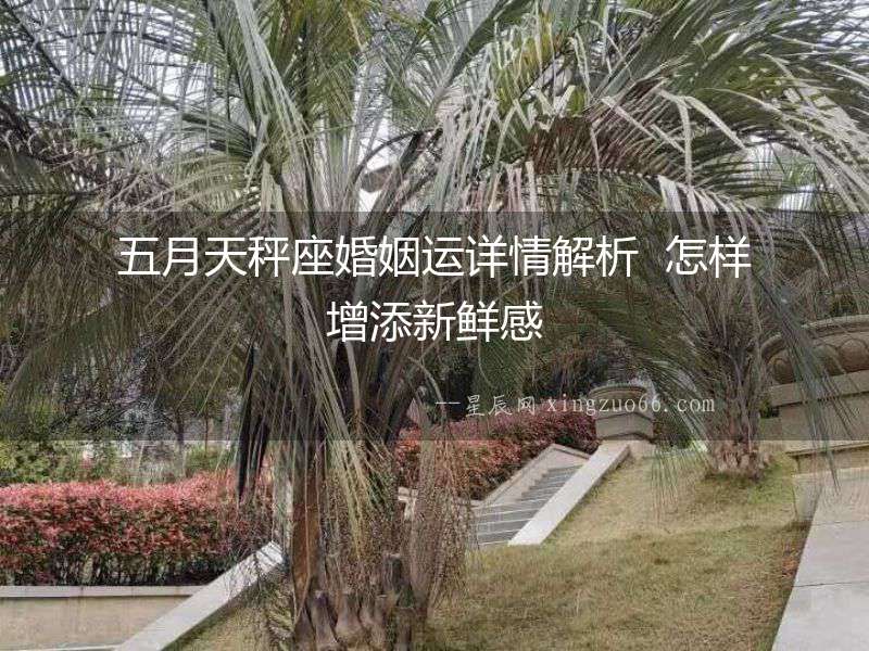 五月天秤座婚姻運(yùn)詳情解析  怎樣增添新鮮感