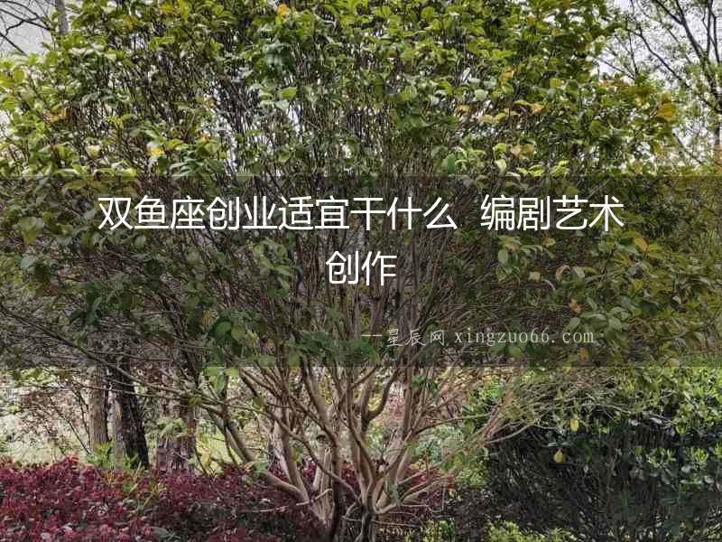 雙魚座創(chuàng)業(yè)適宜干什么  編劇藝術(shù)創(chuàng)作