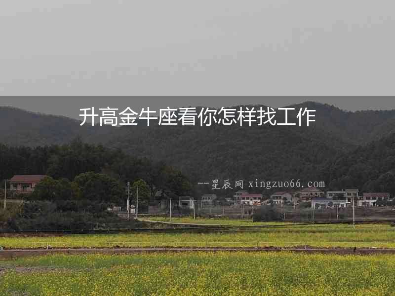 升高金牛座看你怎樣找工作