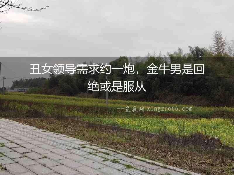 丑女領(lǐng)導(dǎo)需求約一炮，金牛男是回絕或是服從