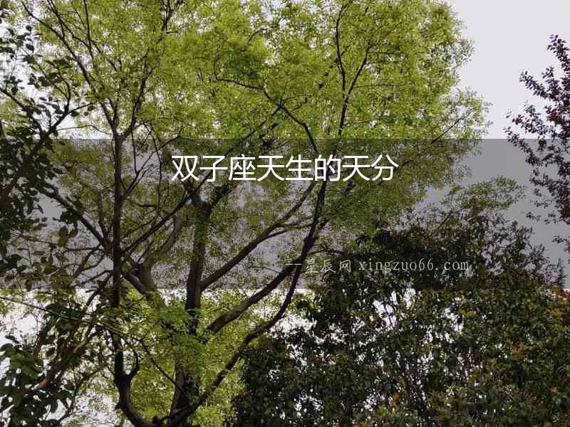 雙子座天生的天分