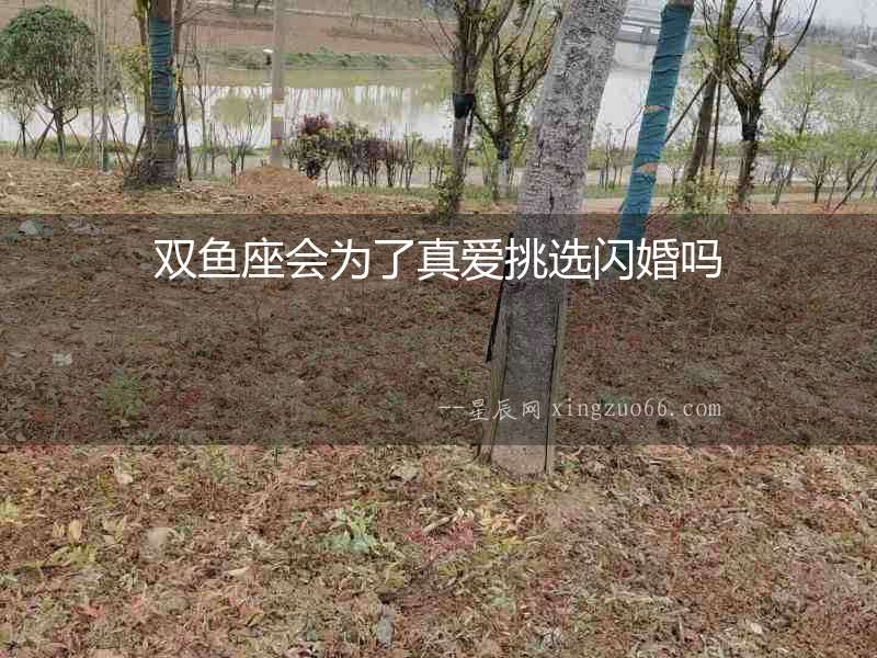 雙魚座會(huì)為了真愛挑選閃婚嗎