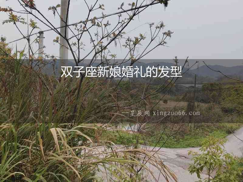 雙子座新娘婚禮的發(fā)型