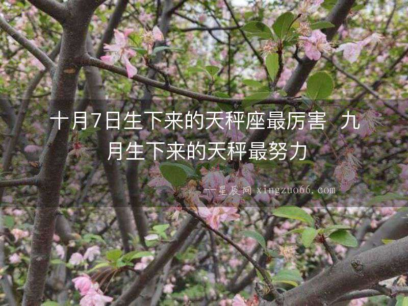 十月7日生下來的天秤座最厲害  九月生下來的天秤最努力
