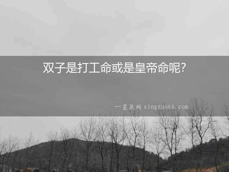 雙子是打工命或是皇帝命呢？