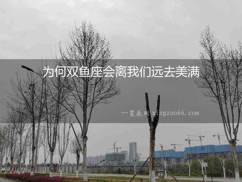 為何雙魚座會離我們遠去美滿